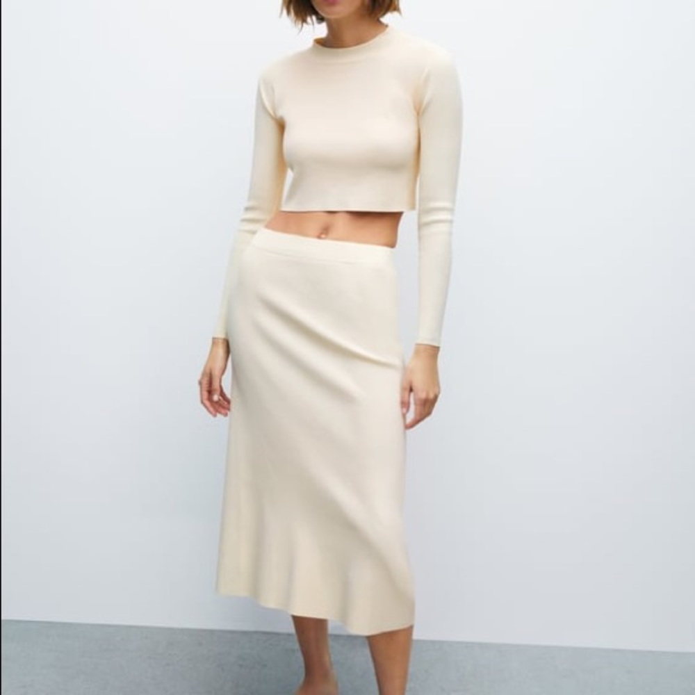 Zara Knit Skirt